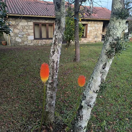 Casa De Reborido *